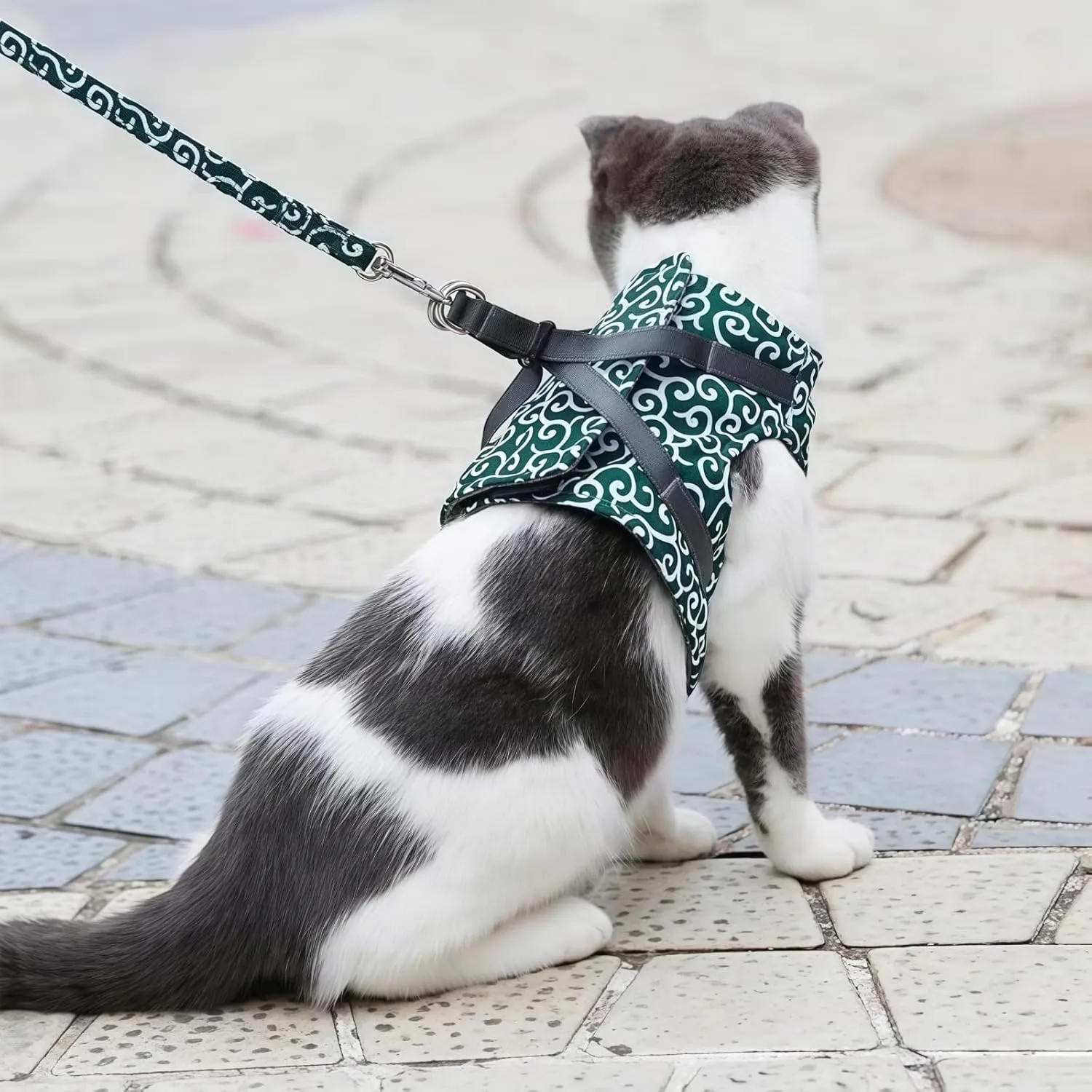 2025 New Cat Dogs Vest Harness and Leash Anti-Break Away Chest Strap Cat Clothes, Adjustable Pet Harness Jackets Soft Comfortable, Suitable for Girls Boys Cat Walk (Red, Adult Cat)