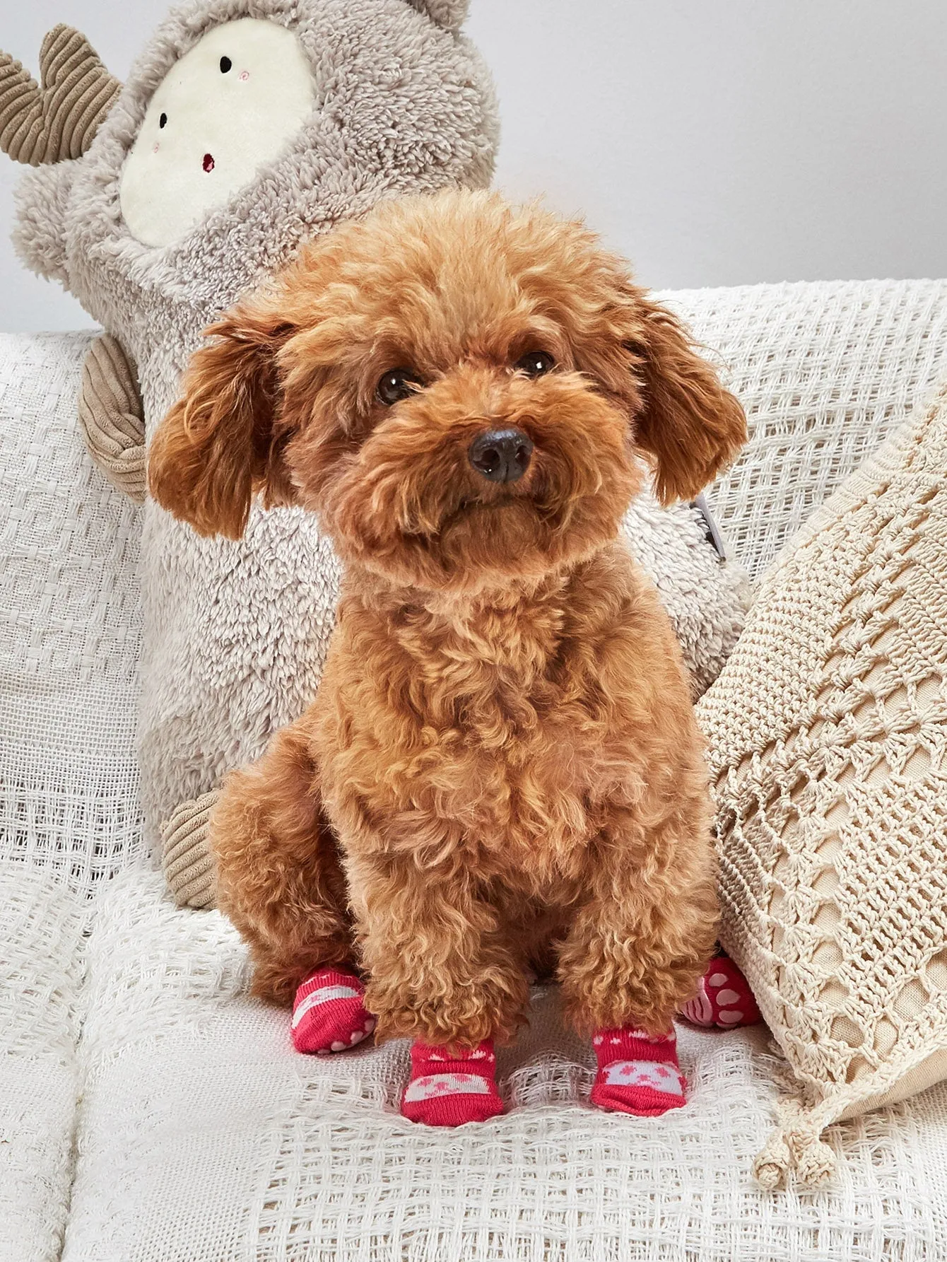 4pcs Non slip Cartoon Graphic Dog Socks
