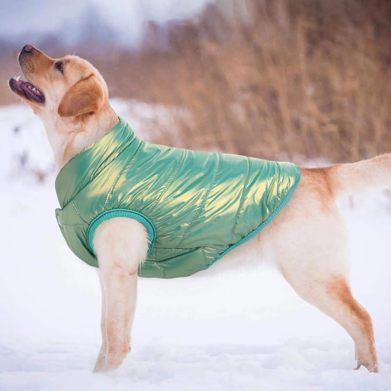 ASENKU Windproof Dog Winter Coat Waterproof Jacket Warm Vest Cold Weather Pet Apparel with 2 Layers Fleece Lined for Small Medium Large Dogs (Mint Green, XS)