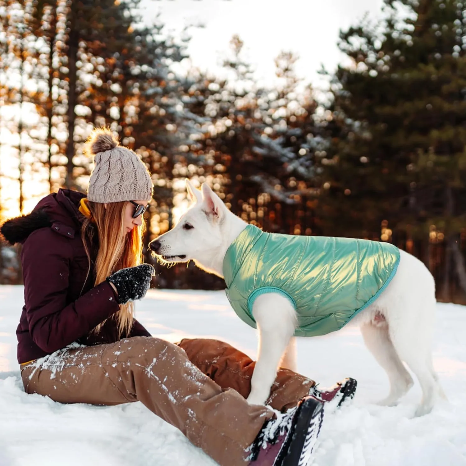 ASENKU Windproof Dog Winter Coat Waterproof Jacket Warm Vest Cold Weather Pet Apparel with 2 Layers Fleece Lined for Small Medium Large Dogs (Mint Green, XS)