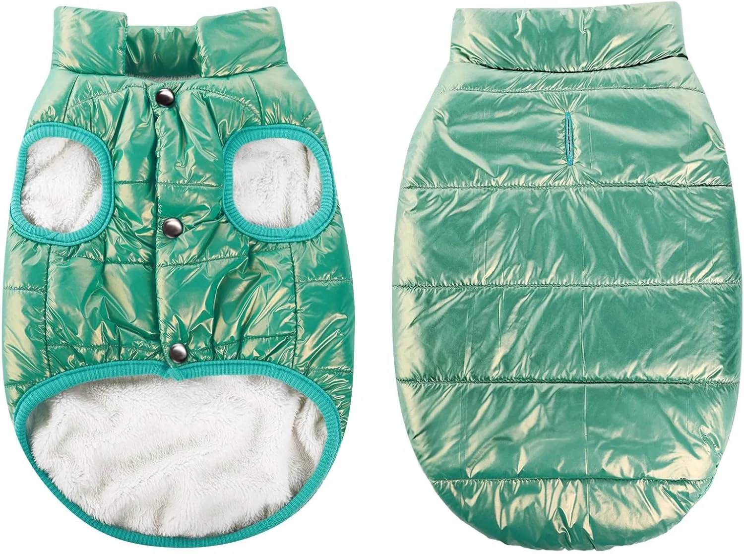 ASENKU Windproof Dog Winter Coat Waterproof Jacket Warm Vest Cold Weather Pet Apparel with 2 Layers Fleece Lined for Small Medium Large Dogs (Mint Green, XS)