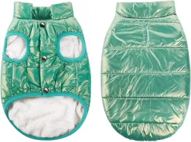 ASENKU Windproof Dog Winter Coat Waterproof Jacket Warm Vest Cold Weather Pet Apparel with 2 Layers Fleece Lined for Small Medium Large Dogs (Mint Green, XS)