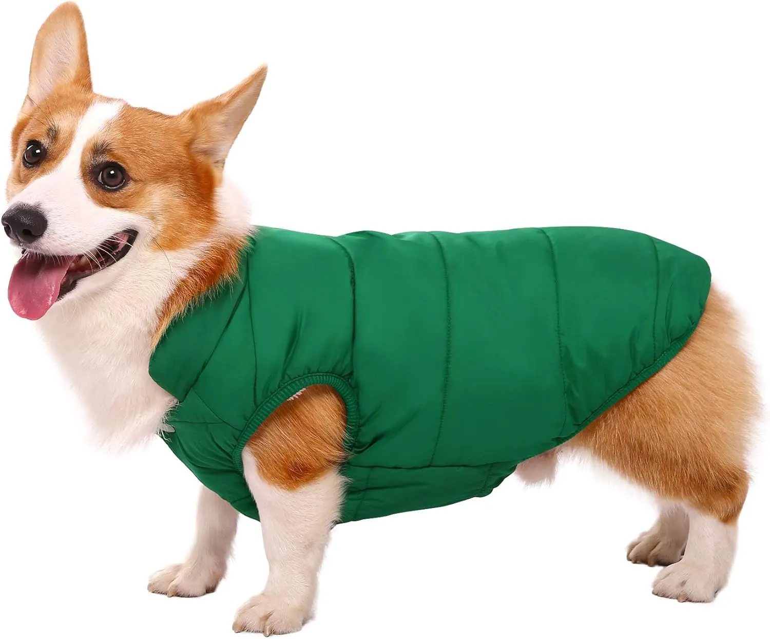 ASENKU Windproof Winter Coat - Waterproof Jacket, Warm Vest for Cold Weather - Pet Apparel With 2 Layers Fleece Lined for Small Medium Large Dogs (M, Green)