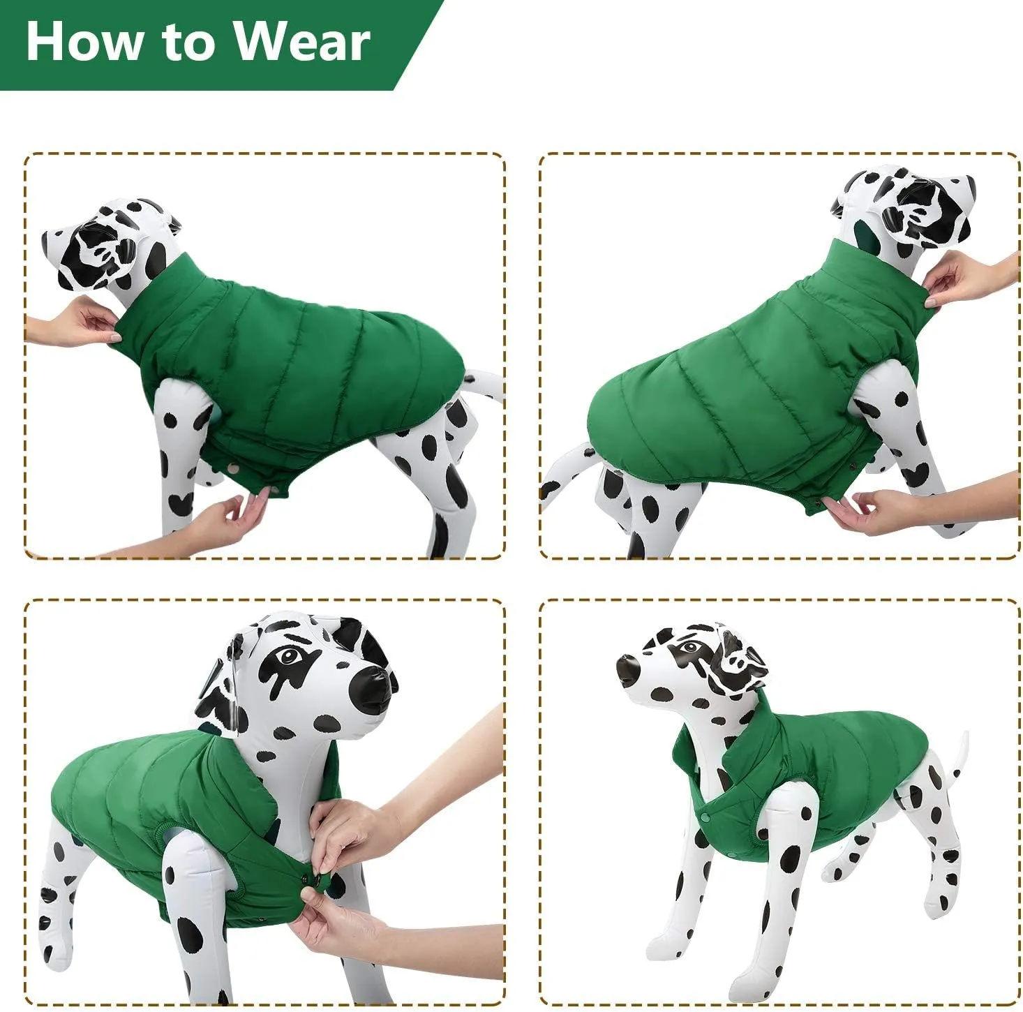 ASENKU Windproof Winter Coat - Waterproof Jacket, Warm Vest for Cold Weather - Pet Apparel With 2 Layers Fleece Lined for Small Medium Large Dogs (M, Green)
