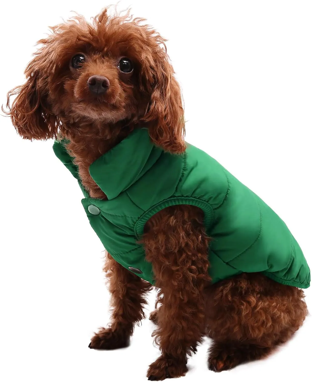 ASENKU Windproof Winter Coat - Waterproof Jacket, Warm Vest for Cold Weather - Pet Apparel With 2 Layers Fleece Lined for Small Medium Large Dogs (M, Green)