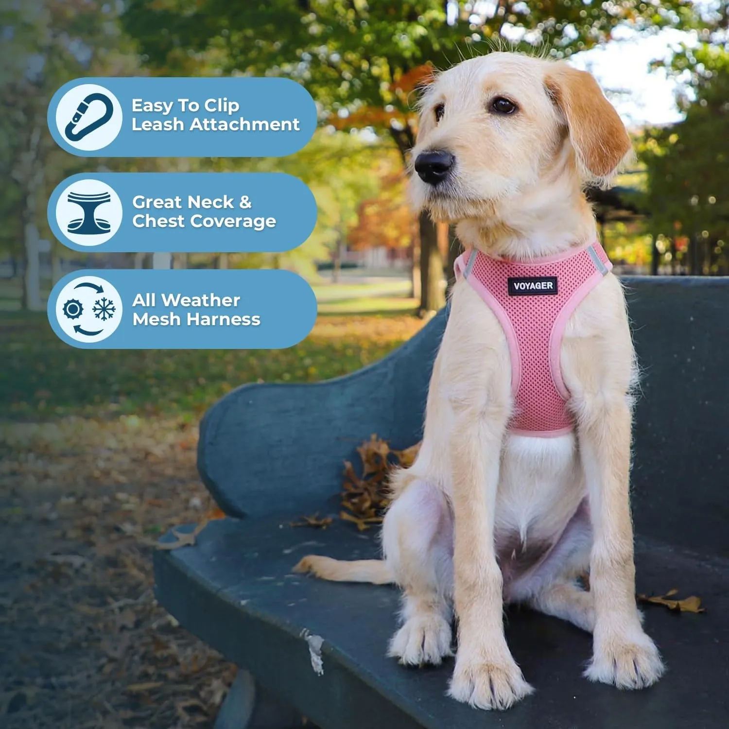Best Pet Supplies Voyager Step-in Air Dog Harness - All Weather Mesh, Reflective, No Pull Harness for Small, Medium Dogs, Cats - Secure with Hook & Loop Fastener, Buckle, Double D-Rings - Pink, XS