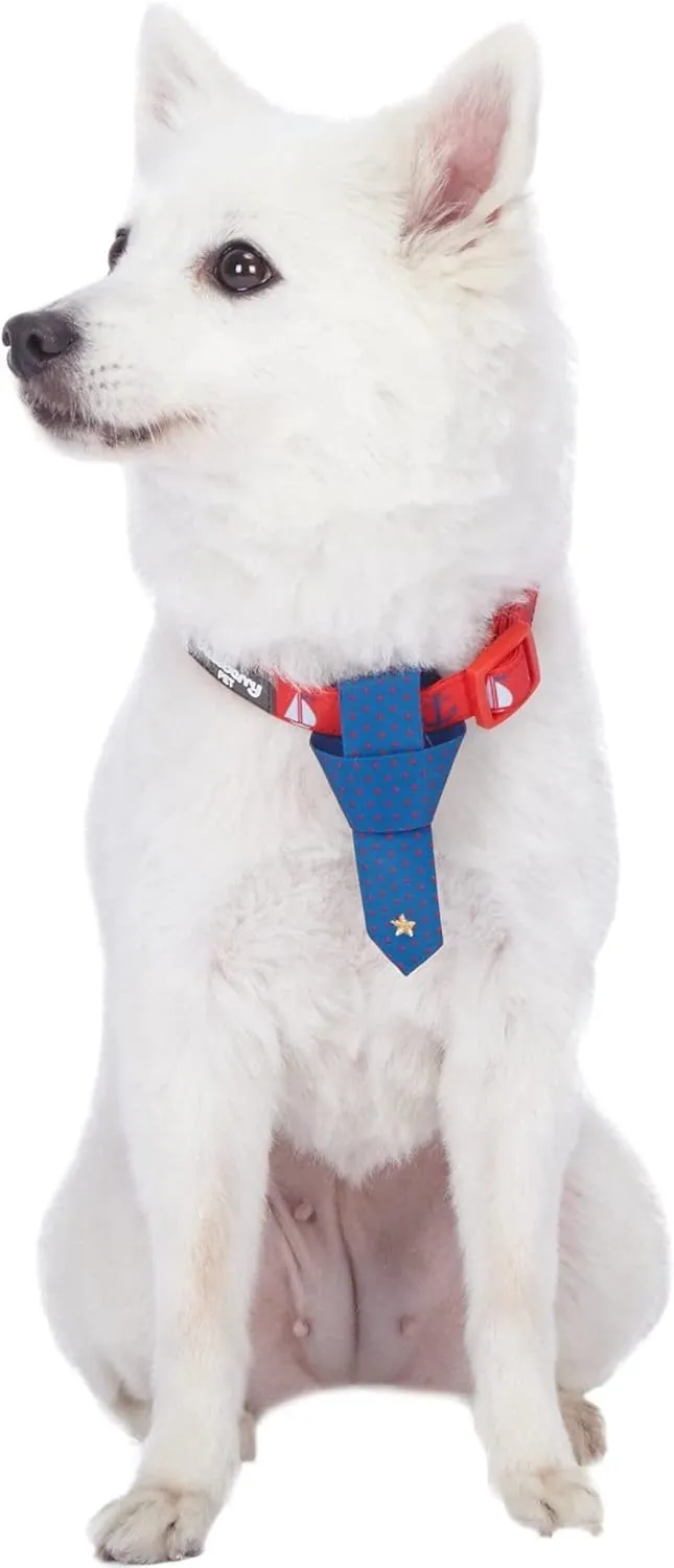 Blueberry Pet 9 / 5 , 