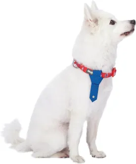 Blueberry Pet 9 / 5 , 