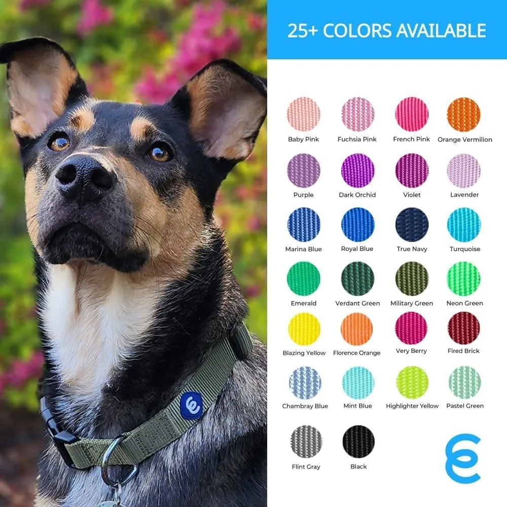 Blueberry Pet Essentials  |  | , D 