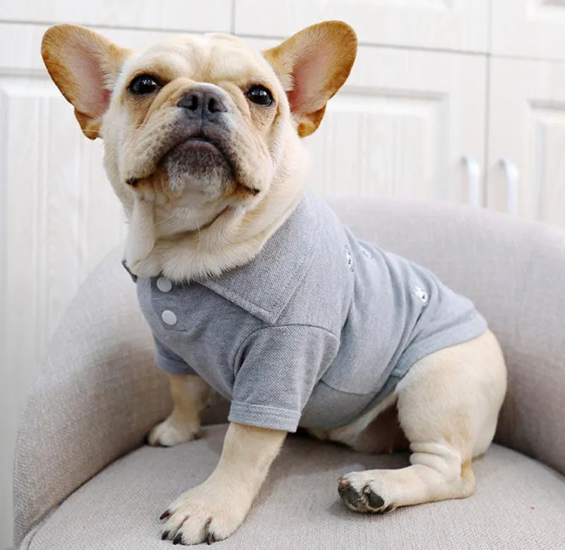 Bull dog Corgi spring and summer pet clothes