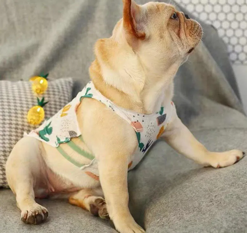 Bull dog Corgi spring and summer pet clothes