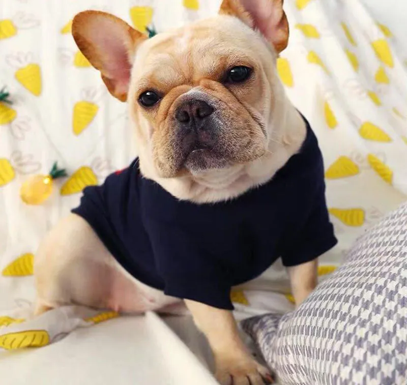 Bull dog Corgi spring and summer pet clothes