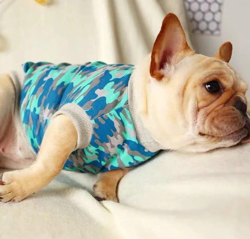 Bull dog Corgi spring and summer pet clothes