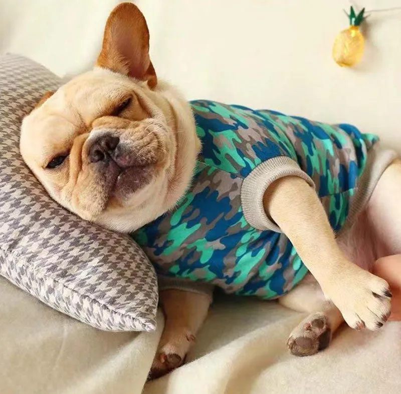 Bull dog Corgi spring and summer pet clothes