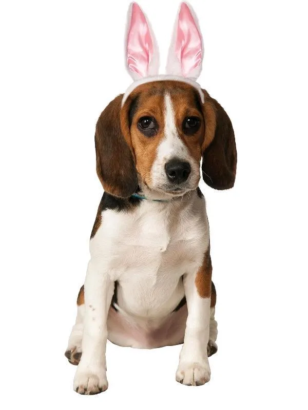 Bunny Ears Pet Accessory