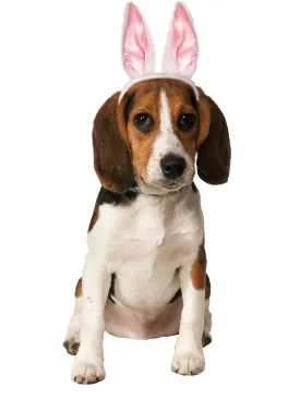 Bunny Ears Pet Accessory
