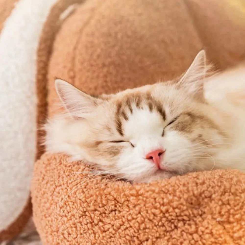 Cute Cat Sofa Snooze - Deep Sleep Warm Bed for Cats, Puppies, and Kittens - Soft Mat with Padded Cushion - Small Dog and Winter Pet Accessories