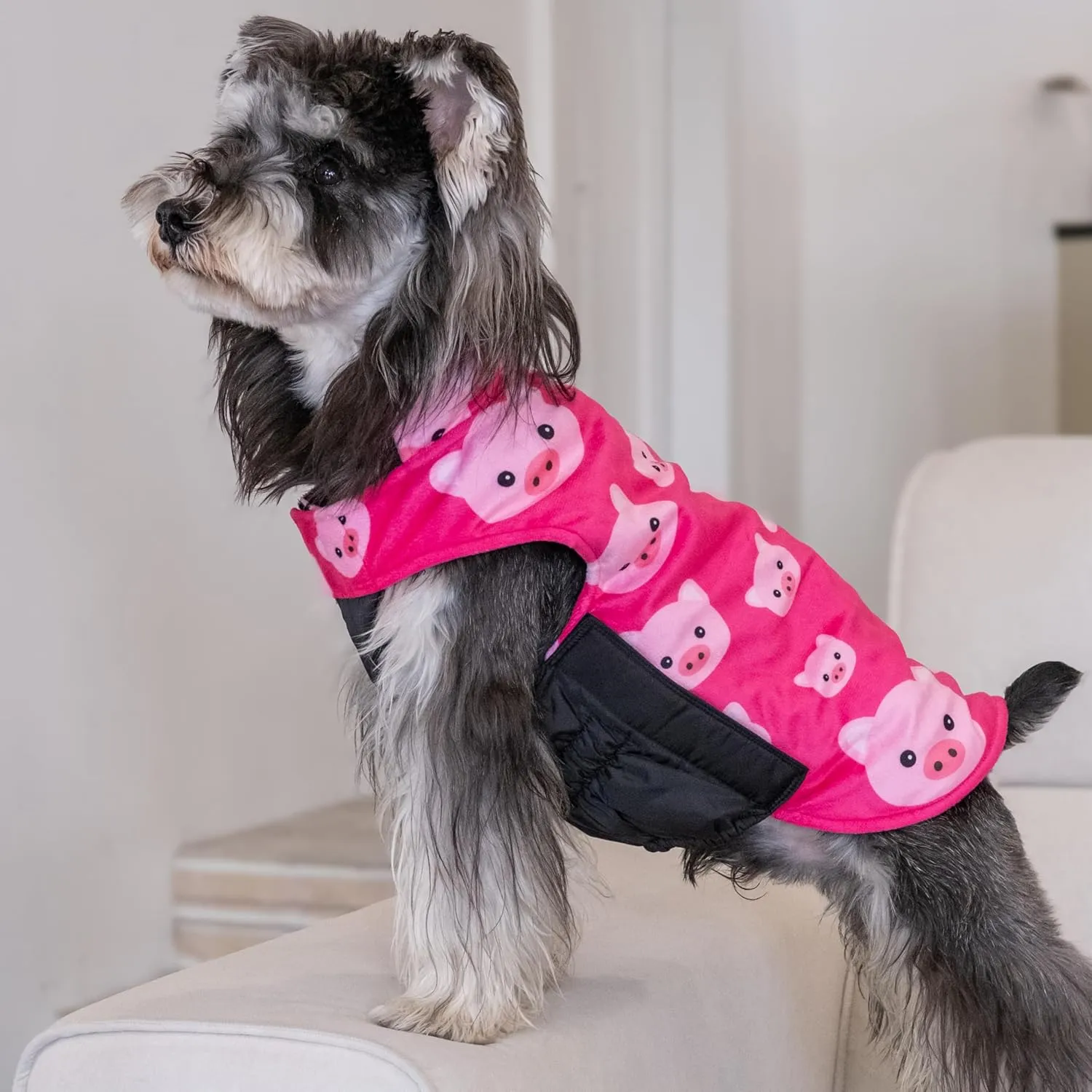 CuteBone Winter Dog Coat - Waterproof Windproof Reversible Jacket - Thick Adjustable Soft Coat with Leash Hole for Small to Large Dogs
