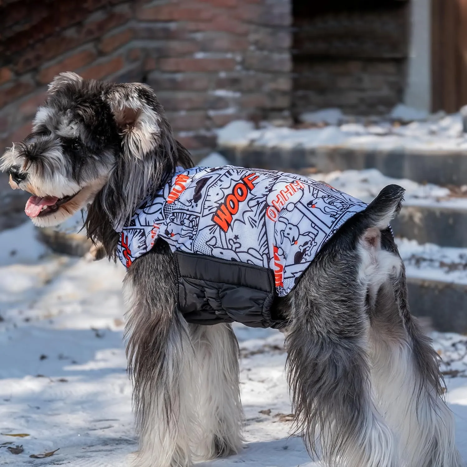 CuteBone Winter Dog Jacket - Reversible, Windproof & Waterproof Soft Coat with Leash Hole for Small to Large Dogs