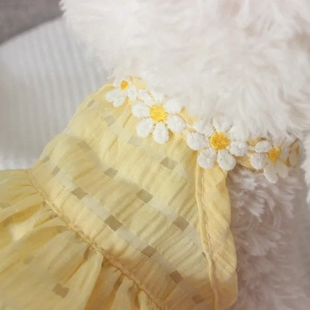 Daisy Halter Neck Pet Dress