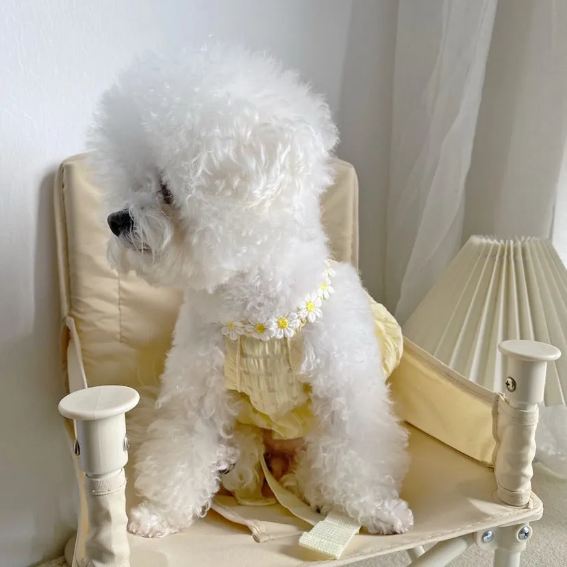 Daisy Halter Neck Pet Dress