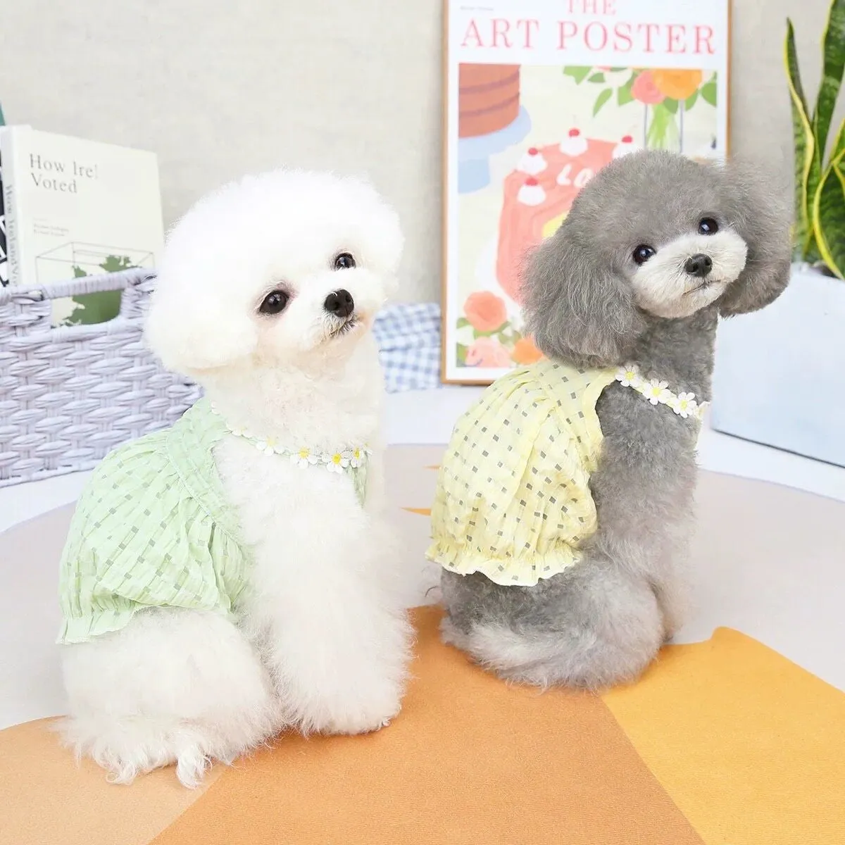 Daisy Halter Neck Pet Dress
