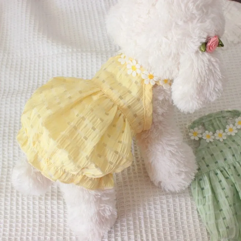 Daisy Halter Neck Pet Dress