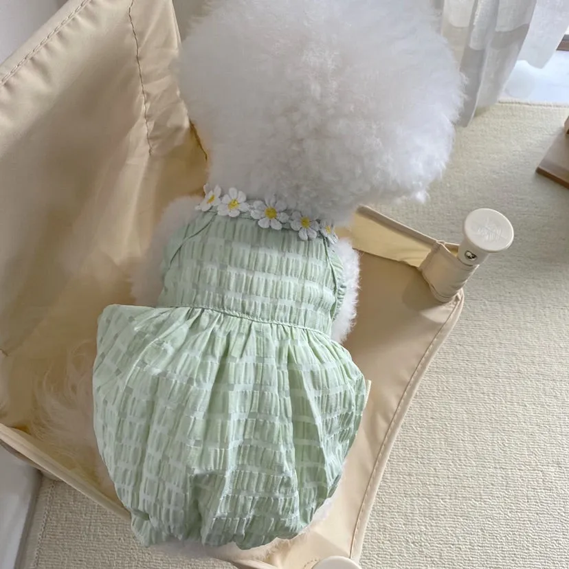 Daisy Halter Neck Pet Dress
