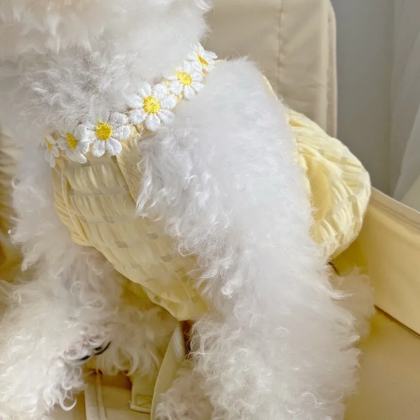 Daisy Halter Neck Pet Dress