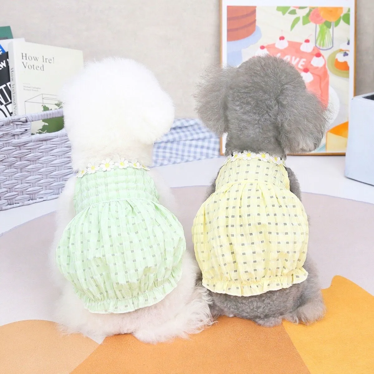 Daisy Halter Neck Pet Dress
