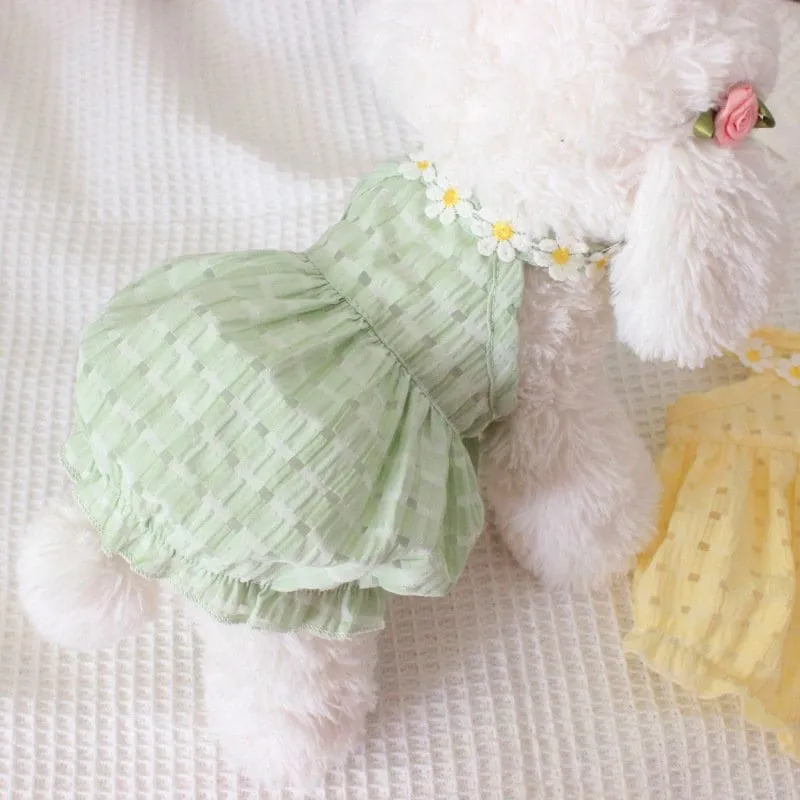 Daisy Halter Neck Pet Dress