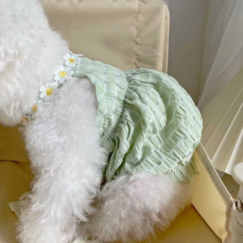 Daisy Halter Neck Pet Dress