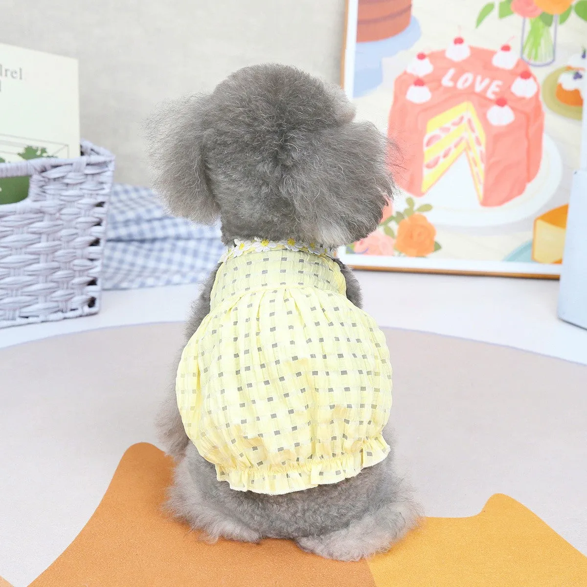 Daisy Halter Neck Pet Dress