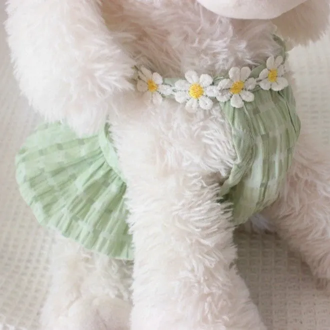 Daisy Halter Neck Pet Dress