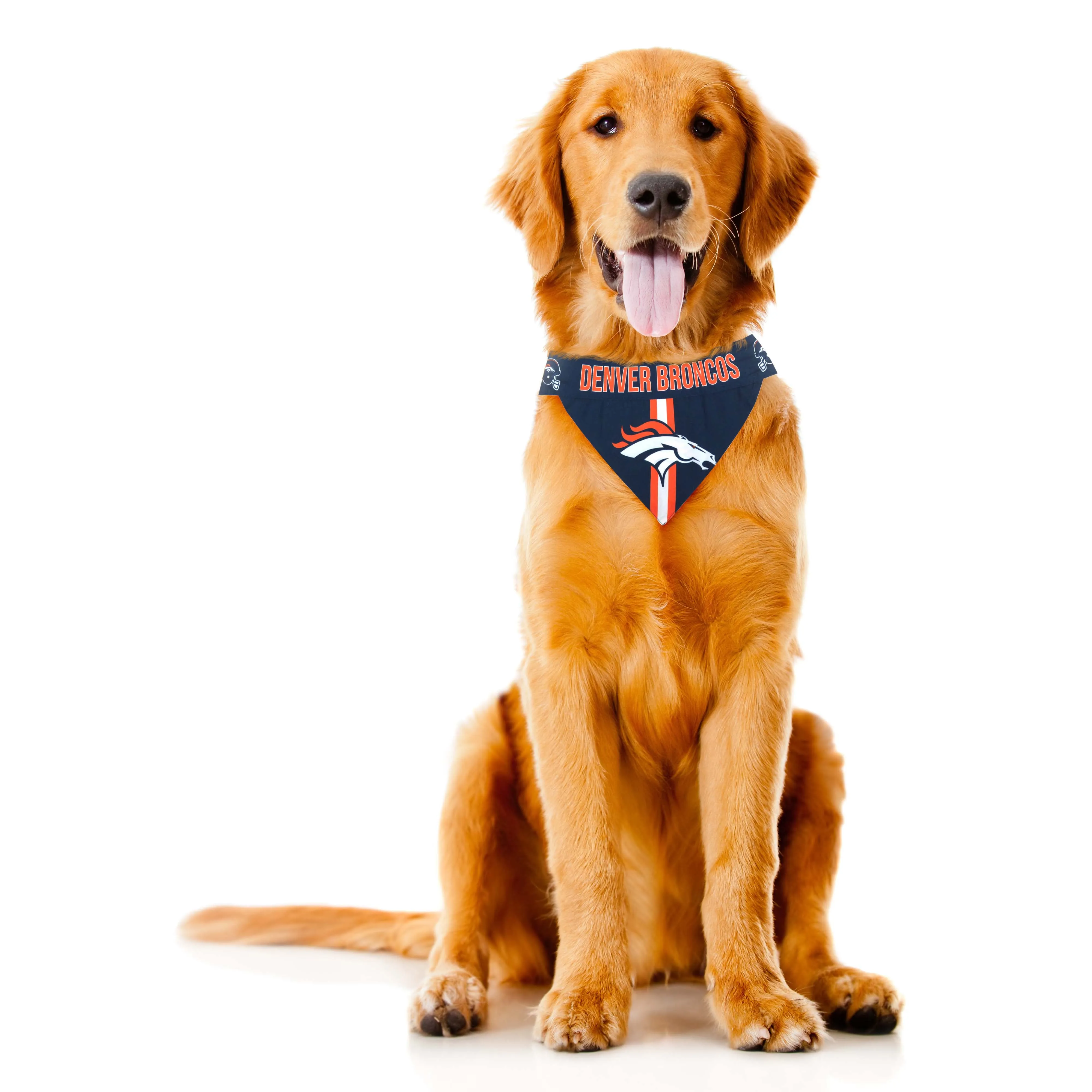 Denver Broncos Pet Bandana