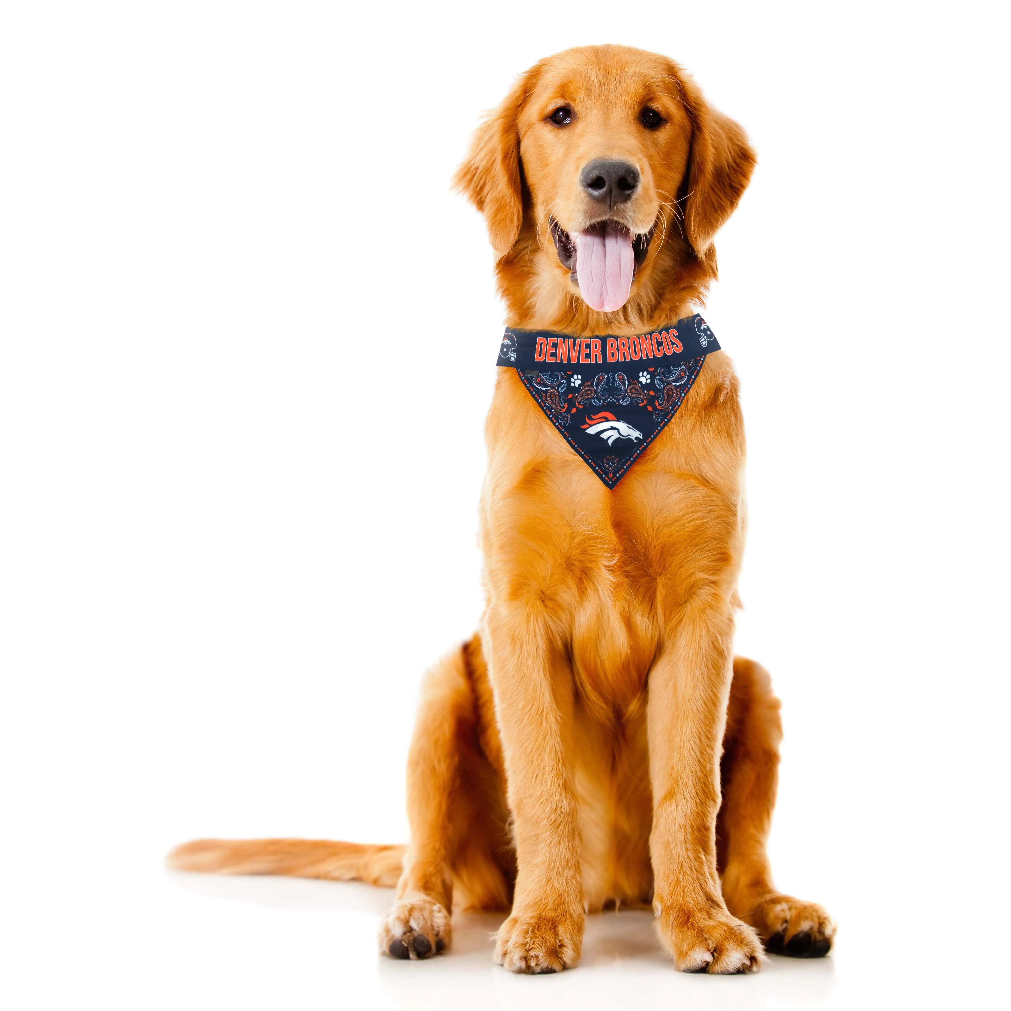 Denver Broncos Pet Bandana