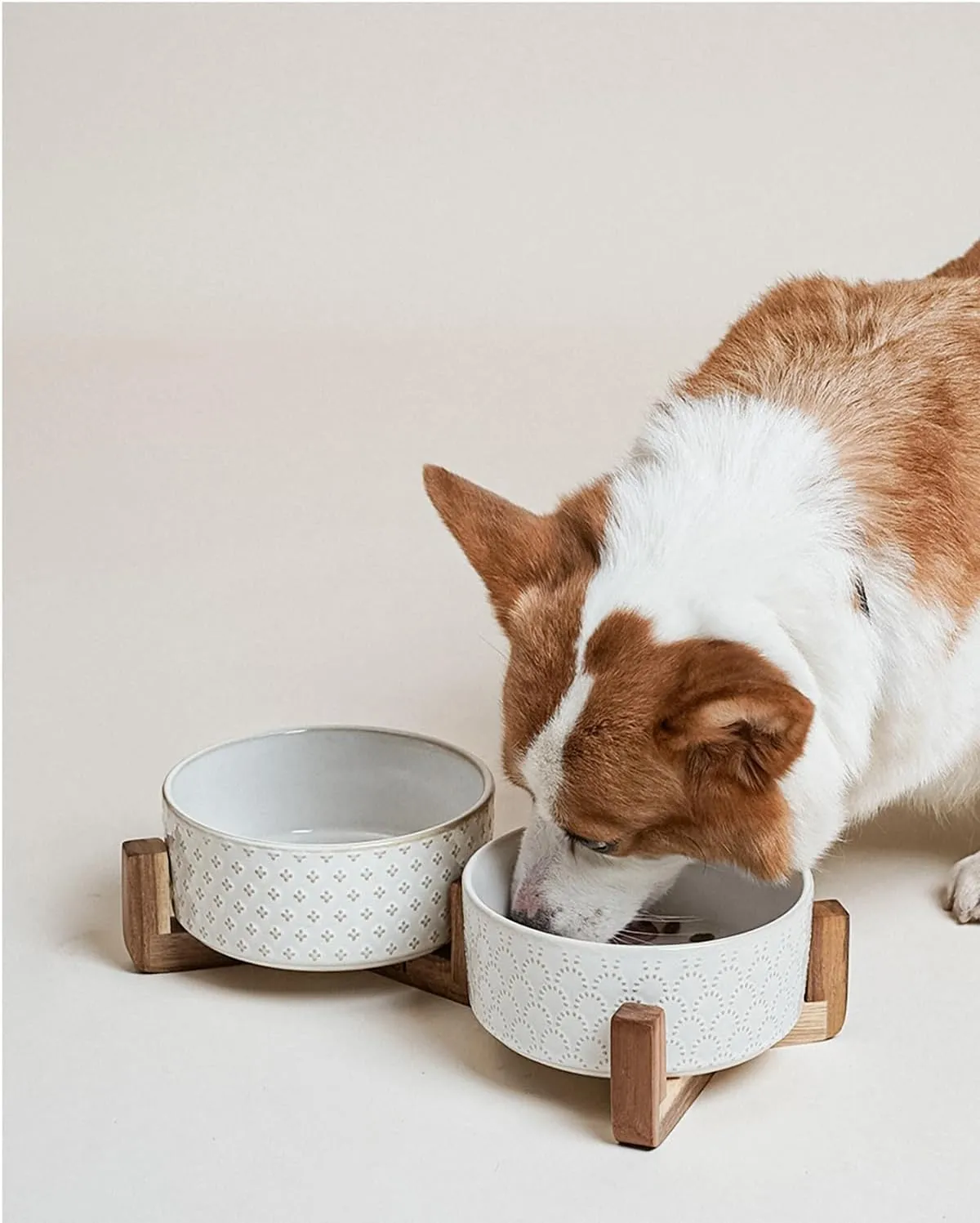 Dog Bowls Ceramic for Small Medium Dogs - 3-Cup Dual Food & Water Bowl Set with Acacia Wood Stand, Non-Slip Anti-Tip Elevated Design