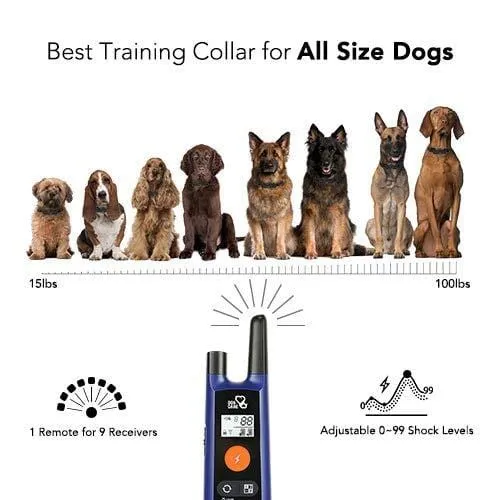 DOG CARE Dog Training Collar - Upgrated Dog Shock Collar w/3 Training Modes, Beep, Vibration and Shock, 100% Waterproof Training Collar, Up to 1000Ft Remote Range, 0~99 Shock Levels Dog Training Set