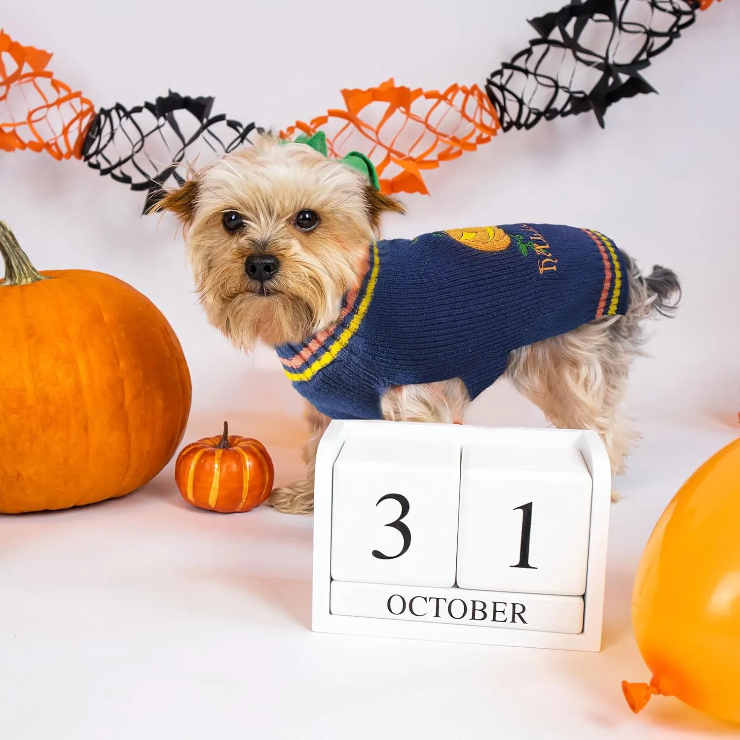 Dog Halloween Sweater Pumpkin Halloween Dog Cat Costumes with Leash Hole Puppy Turtleneck Knitwear for Small Midum Large Dogs Winter Warm Pet Clothes Funny Holiday Party Outfit (Blue,S)