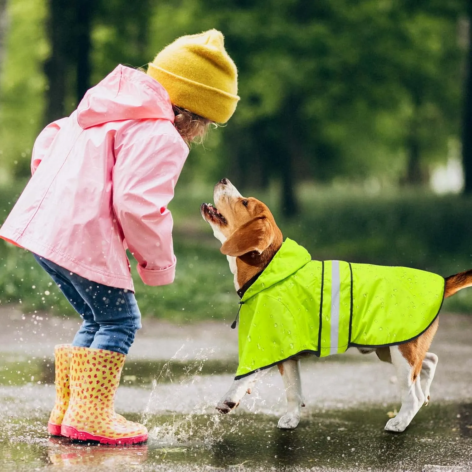 Dog Raincoat - Reflective Waterproof Dog Rain Jacket Lightweight Rain Coat for Small Medium Large Dogs (Medium, Green)