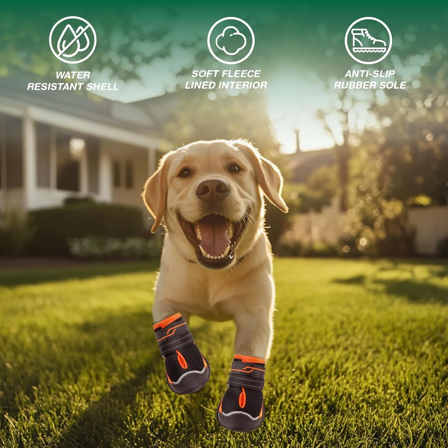 Dog Shoes for Small Dogs, Anti-Slip Dog Boots for Winter Snow, Hot Pavement, Dog Booties & Paw Protectors for Hardwood Floors Size 1