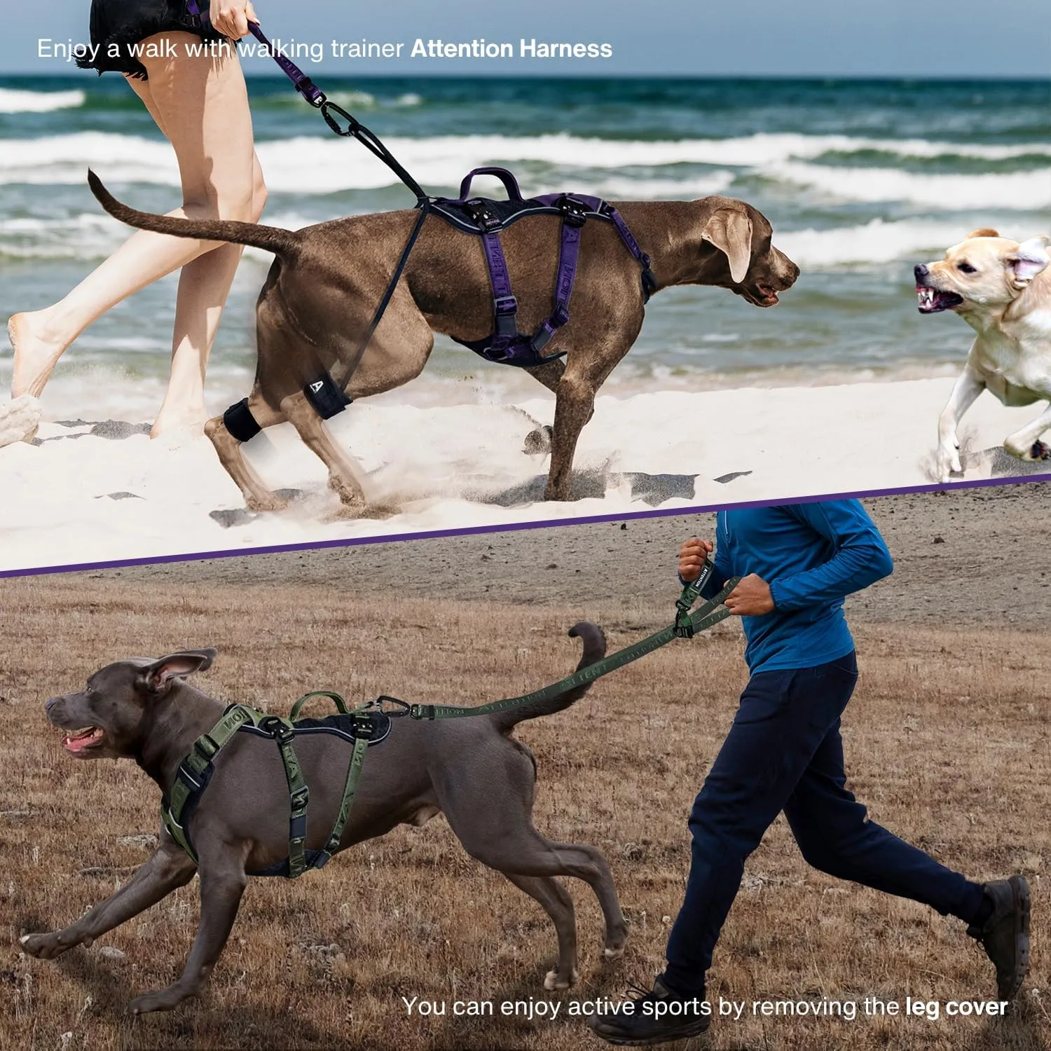 Easy Walk No Pull Dog Harness for Large Dogs, Heavy Duty Tactical Dog Harness with Handle, Easy Control and Training Better Leash Manners (Midnight Purple, Large)