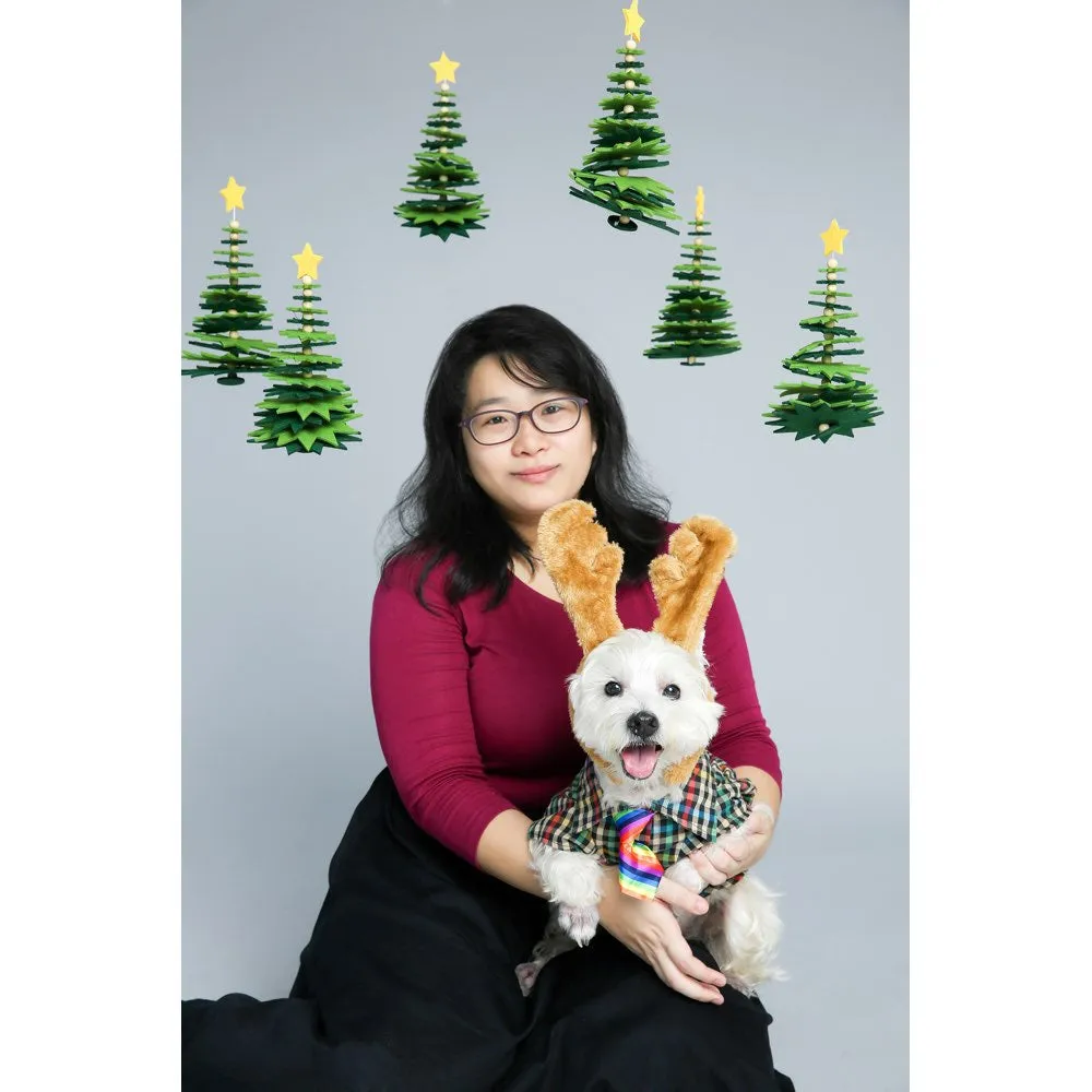 EXCLUSIVE: Kohepets Christmas Photoshoot Package