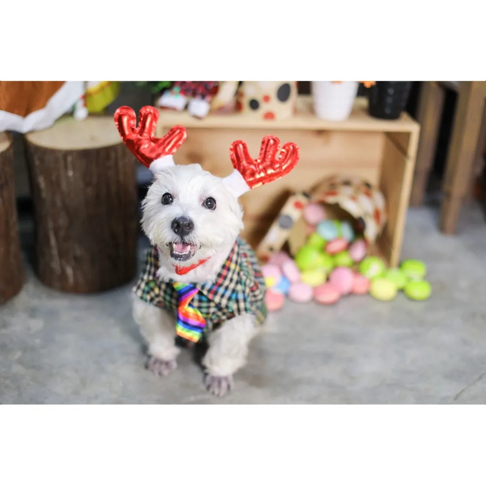 EXCLUSIVE: Kohepets Christmas Photoshoot Package