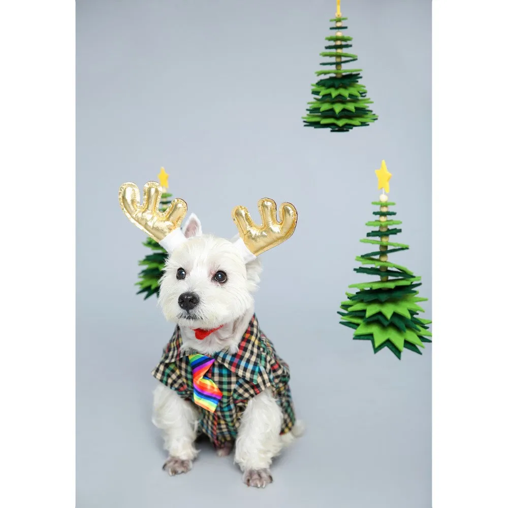 EXCLUSIVE: Kohepets Christmas Photoshoot Package