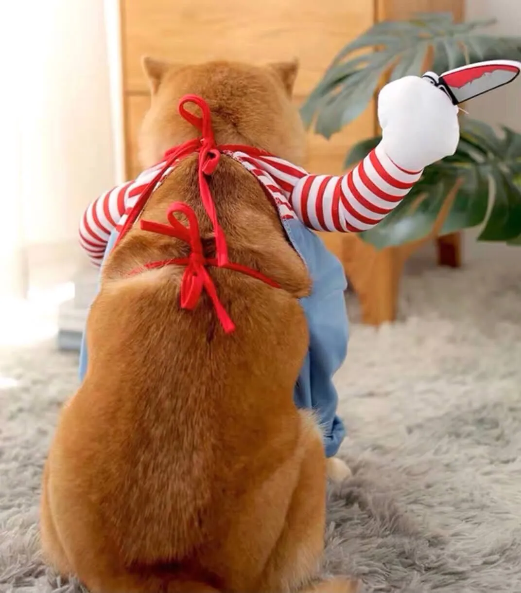 Halloween Chucky- styled Dog Costume