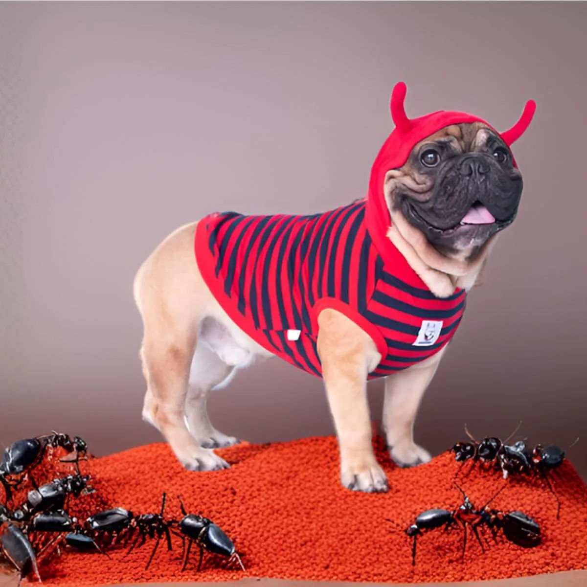iChoue I am a French Bulldog Little Devil Fire Ant Costumes Hoodies Clothes Outfits Cosplay Winter Coats Sweaters Pullovers for Small Medium Dogs Frenchie Pug English Boston - Red, Large