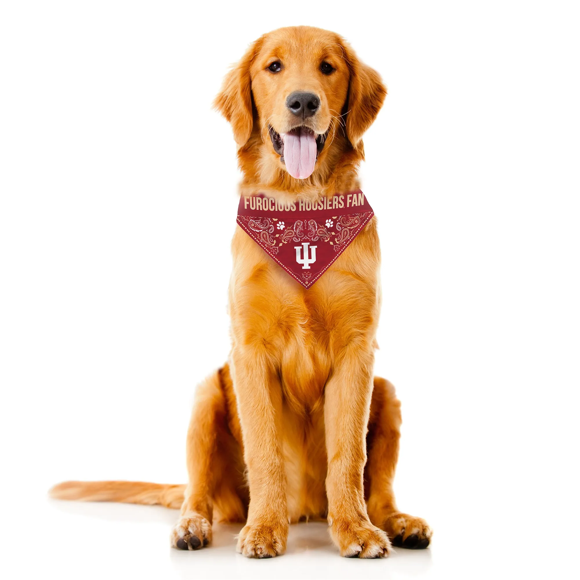 Indiana University Pet Bandana