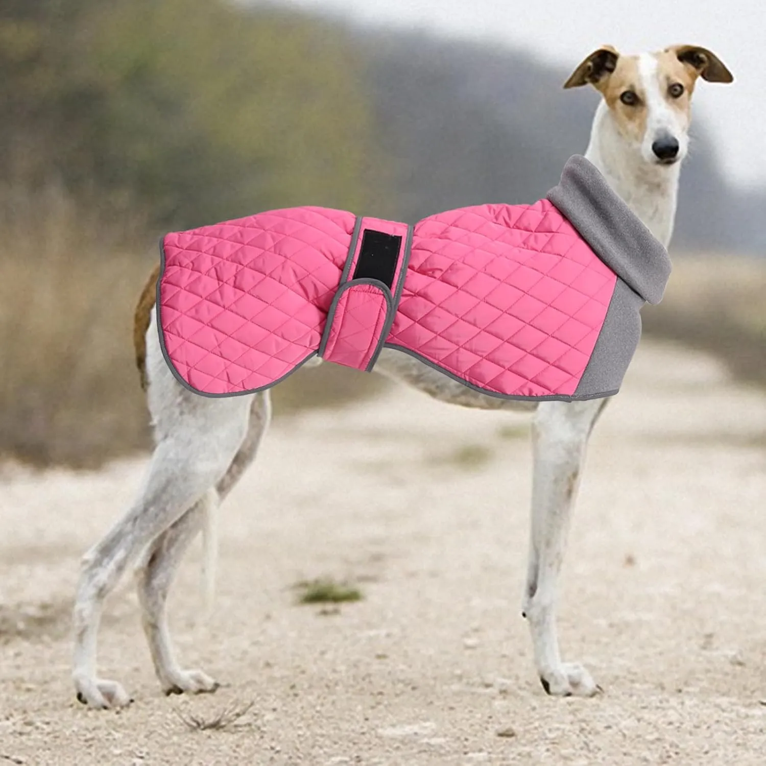 Italian Greyhound Clothes,Greyhound Winter Coat with Warm Fleece, Whippet Sweater for Dogs Anxiety,Medium Large Dog Pajamas Coats Adjustable Sweaters (Pink, Small)