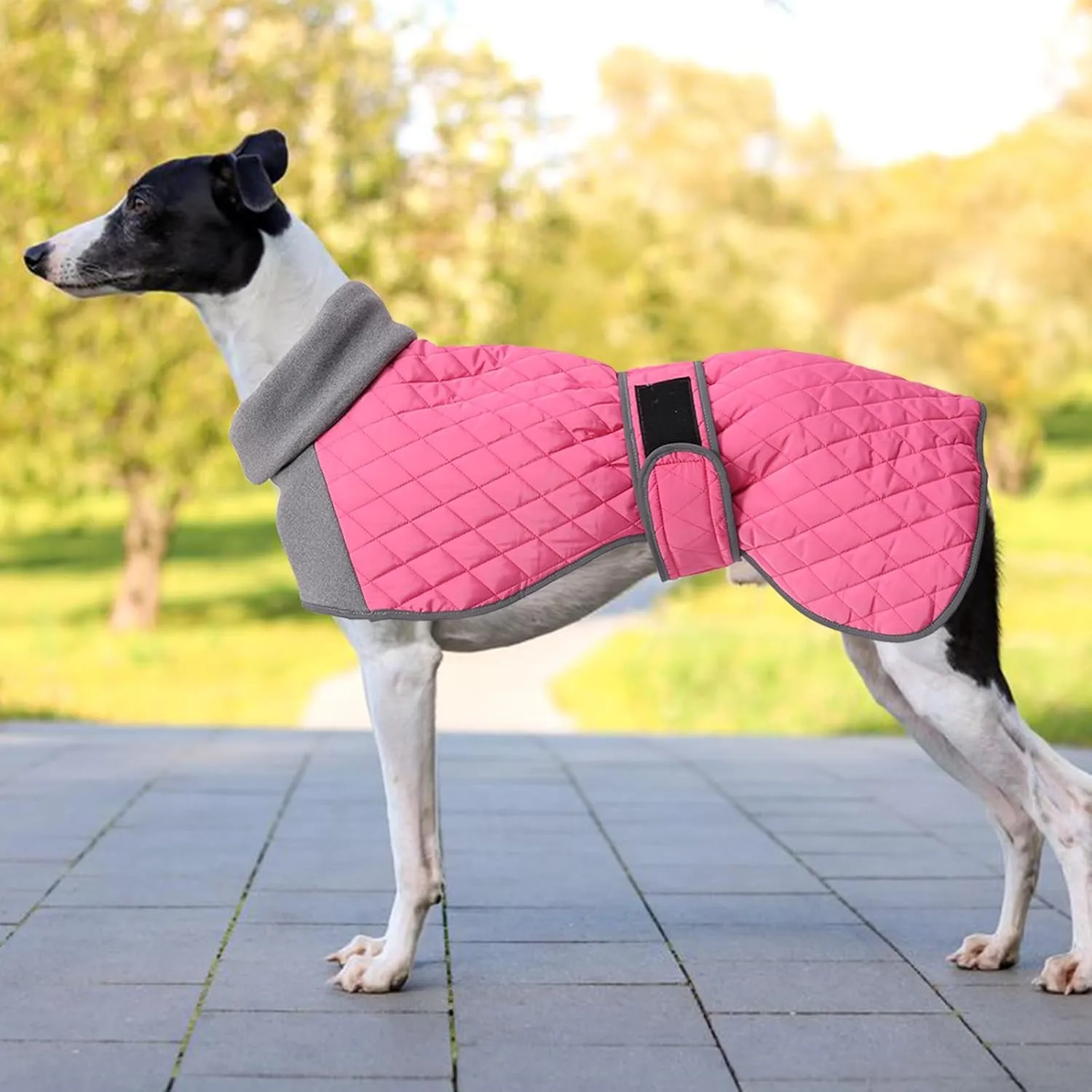 Italian Greyhound Clothes,Greyhound Winter Coat with Warm Fleece, Whippet Sweater for Dogs Anxiety,Medium Large Dog Pajamas Coats Adjustable Sweaters (Pink, Small)